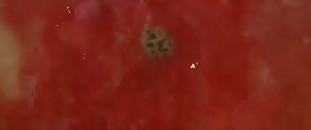 Detail of the red apple's FruitMap skin map around the brown blemish